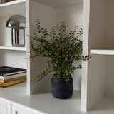 Kunstig Muehlenbeckia (50 cm)