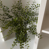 Kunstig Muehlenbeckia (50 cm)