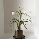 Kunstig klokkeblomst (30 cm) - Hvid