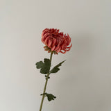 Kunstig Chrysanthemum - Caramel