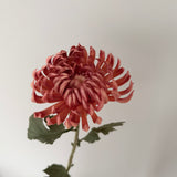 Kunstig Chrysanthemum - Caramel