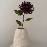 Kunstig Chrystantemum - Burgundy