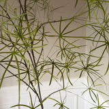 Kunstigt kærlighedstræ med stjerneblade (220 cm)