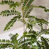 Kunstigt Acacia træ (150 cm)