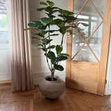 Unika krukke med jernfod