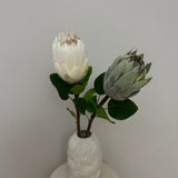 Kunstig Protea - Champagne