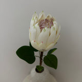 Kunstig Protea - Champagne