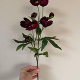 Kunstig Helleborus - dyb Bordeaux
