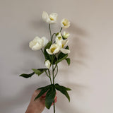 Kunstig Helleborus - Hvid
