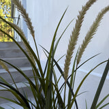 Kunstigt græs (120 cm)