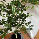 Kunstigt Mandeltræ (150 cm)