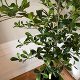 Kunstigt Mandeltræ (150 cm)