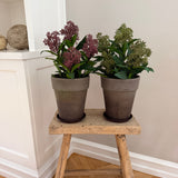 Kunstig Skimmia plante - Bordeaux