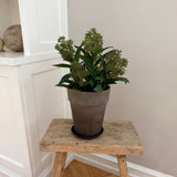 Kunstig Skimmia plante - Grøn