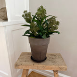 Kunstig Skimmia plante - Grøn