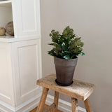 Kunstig Skimmia plante - Grøn