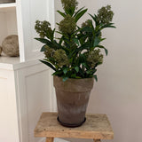Kunstig Skimmia plante (55 cm)