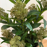 Kunstig Skimmia plante (55 cm)