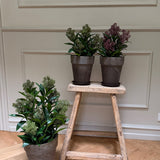 Kunstig Skimmia plante (55 cm)
