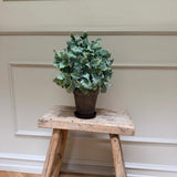 Kunstig Silverek plante