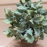 Kunstig Silverek plante