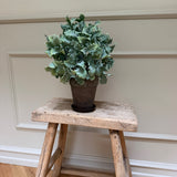 Kunstig Silverek plante