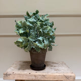 Kunstig Silverek plante