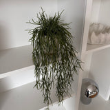Kunstig hænge Rhipsalis (50 cm)