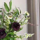 Burgundy Carnation