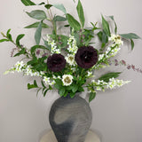 Burgundy Carnation