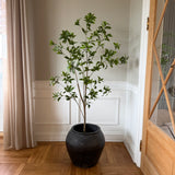 Kunstigt Pittosporum træ (150 cm)