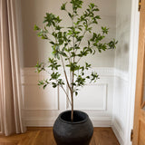 Kunstigt Pittosporum træ (150 cm)