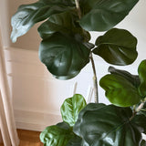 Kunstigt Violinfigen (150 cm)