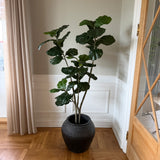 Kunstigt Violinfigen (150 cm)