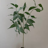 Kunstig Eucalyptus smalbladet - Støvet