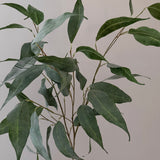 Kunstig Eucalyptus smalbladet - Støvet