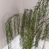 Kunstigt hængepil (187 cm)