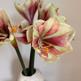 Kunstig Amaryllis rosa/hvid (70 cm)