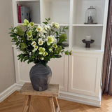 Helleborus Garden