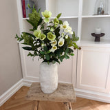Helleborus Bloom - Green & White