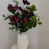 Helleborus Bloom - Bordeaux