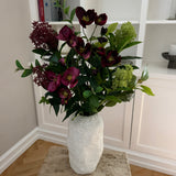 Helleborus Bloom - Bordeaux