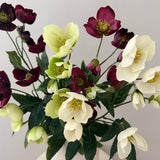 Kunstig Helleborus - Hvid/grøn