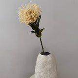 Kunstig Nålepudeprotea - Creme