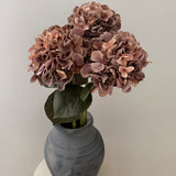 Hortensia Belle - Støvet rosa/brun