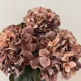 Hortensia Belle - Støvet rosa/brun