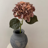 Hortensia Belle - Støvet rosa/brun