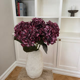 Hortensia Belle - Bordeaux