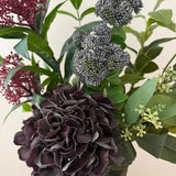 Midnight Plum