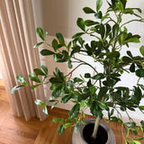 Kunstigt Mandeltræ (120 cm)
